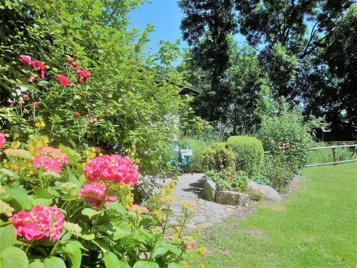 Haus Schneewittchen Villa Kägsdorf Exteriör bild